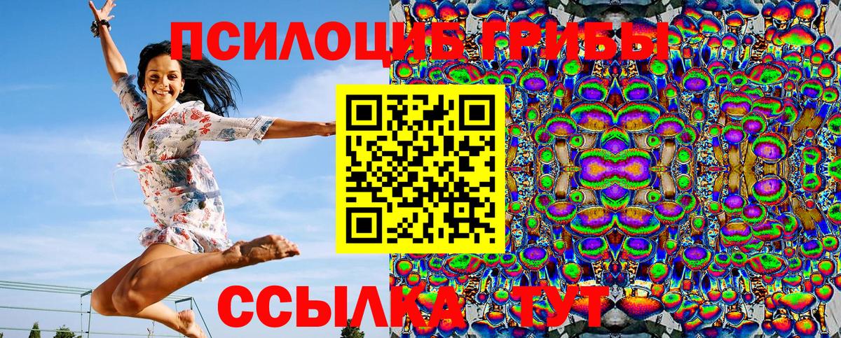 Галлюциногенные грибы MAGIC MUSHROOMS  Галлюциногенные грибы Psilocybe  купить  сайты  Вход с VPN  Шумерля 