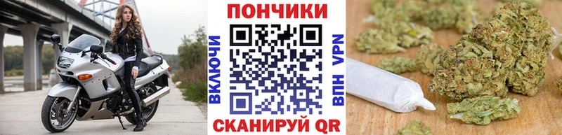 Марихуана OG Kush  Шумерля 