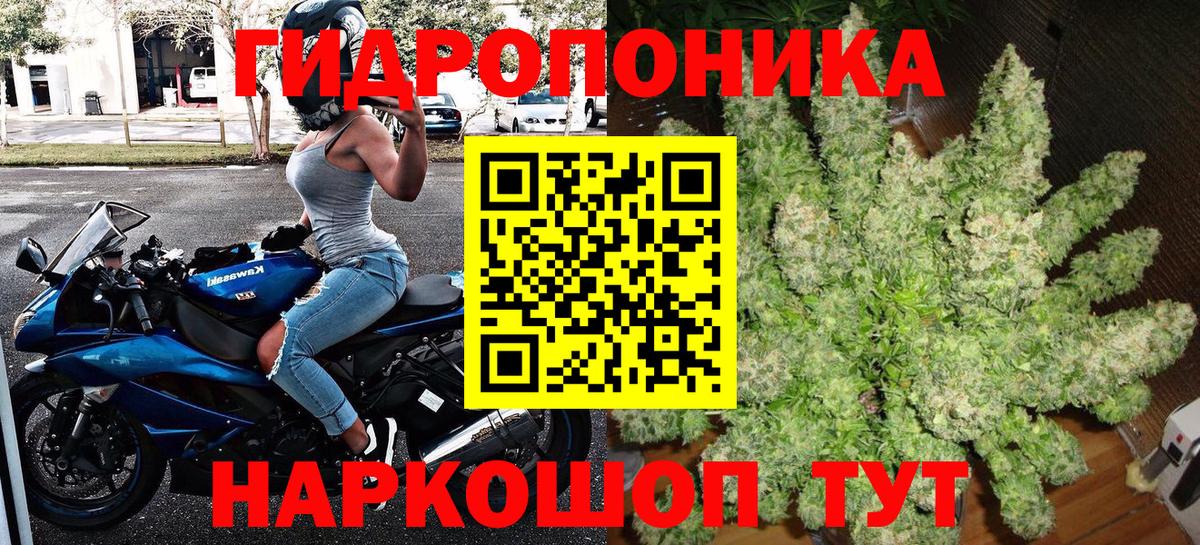 Шишки марихуана White Widow  Шишки марихуана VHQ  Вход с VPN  Шумерля  Каннабис план 